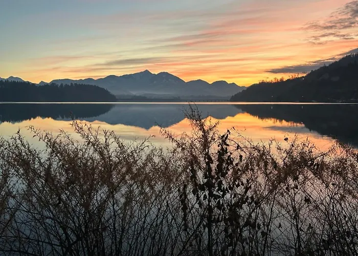 Golden * Völkermarkt